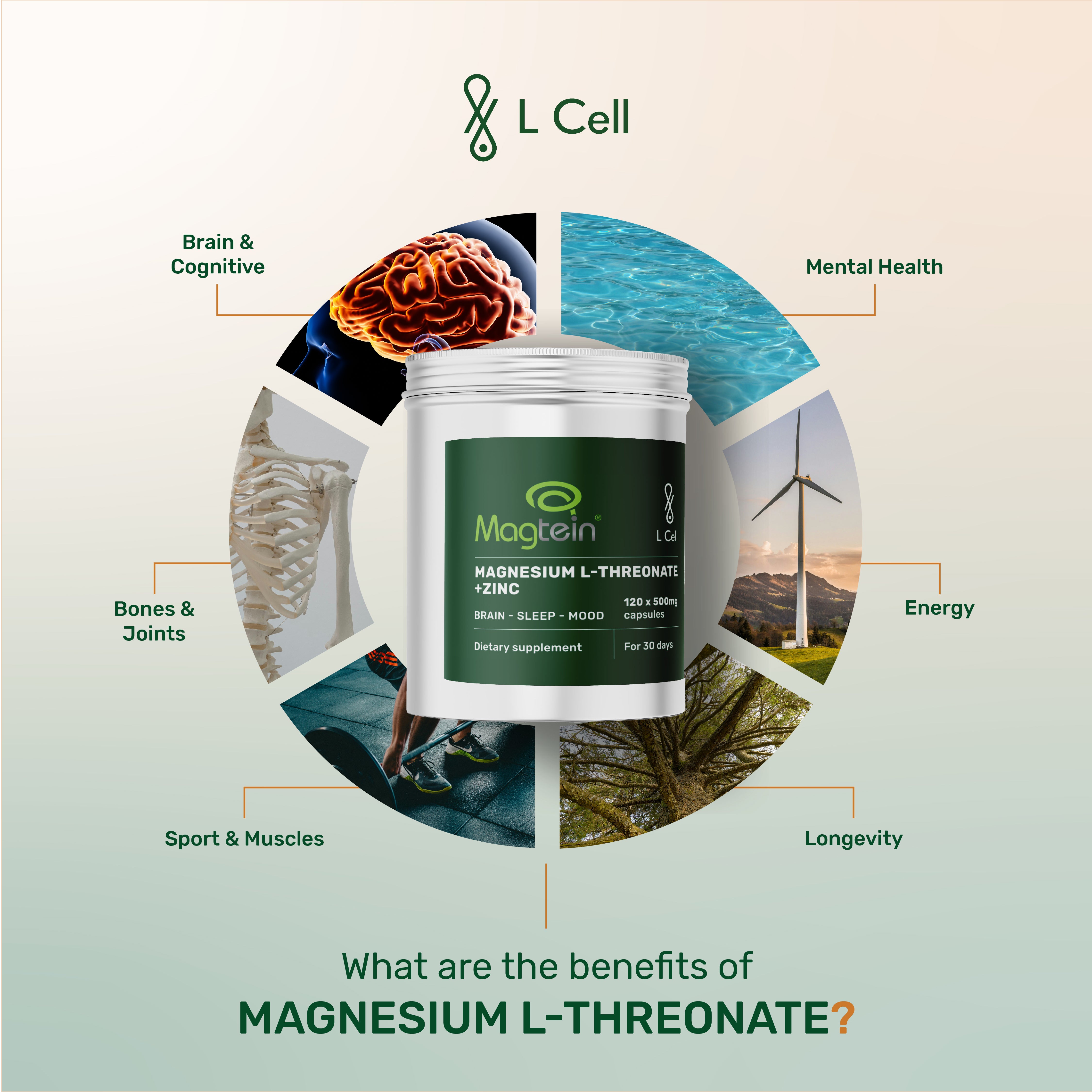 Magnesium L-Threonate Capsules 500mg (30 servings, 120 caps)