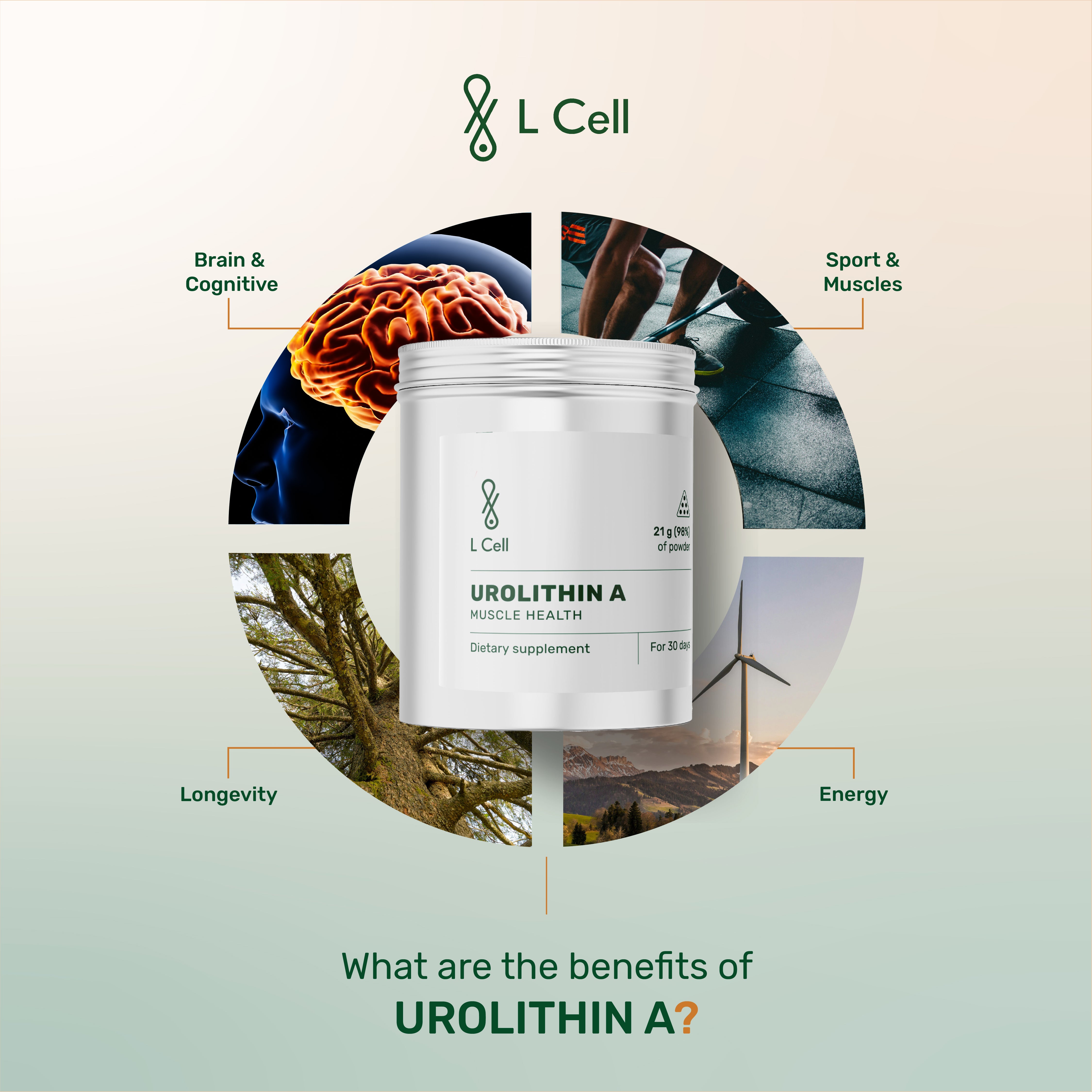 Urolithin A Capsules 350mg (30 servings, 60 caps)