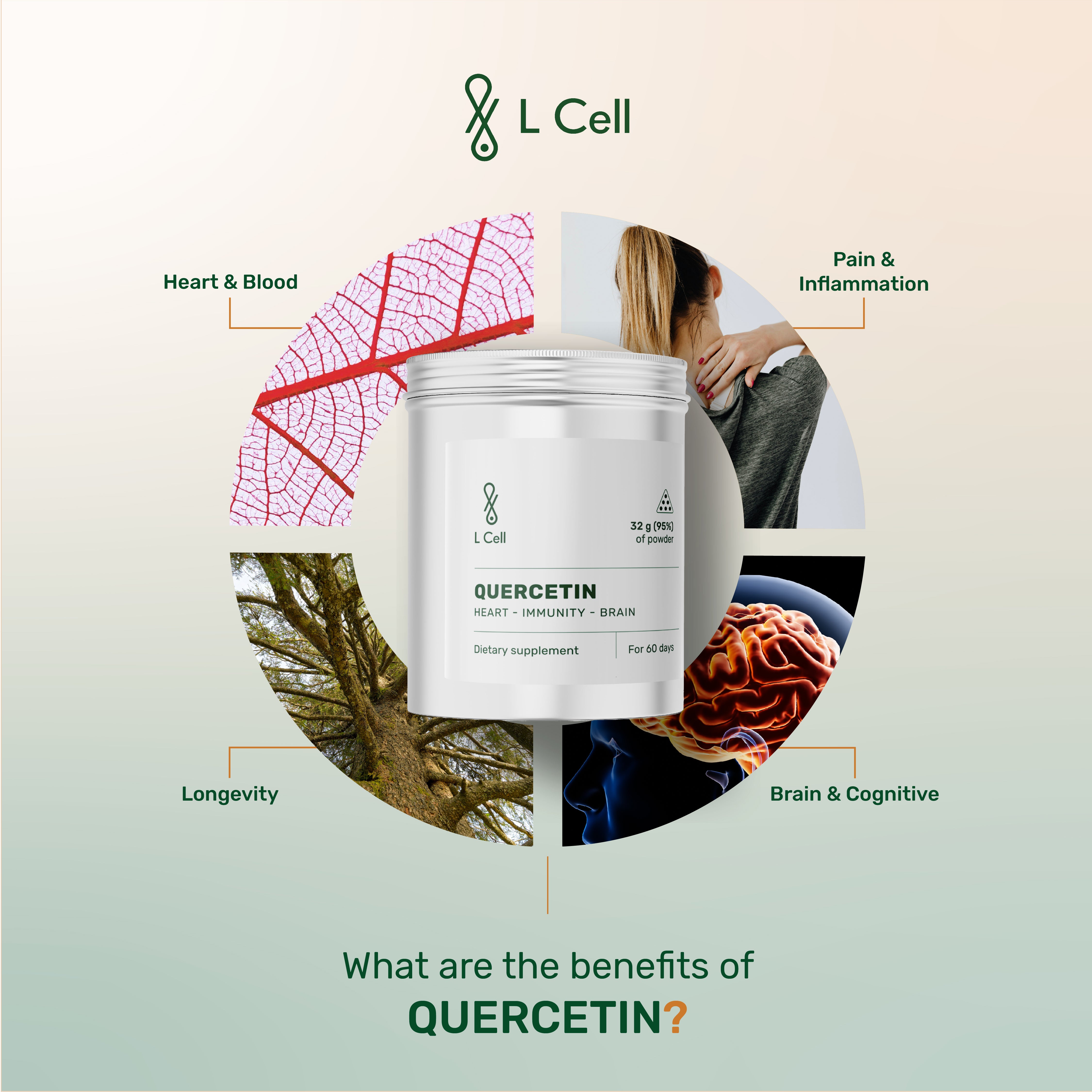 Quercetin Capsules 250mg (30 servings, 60 caps)