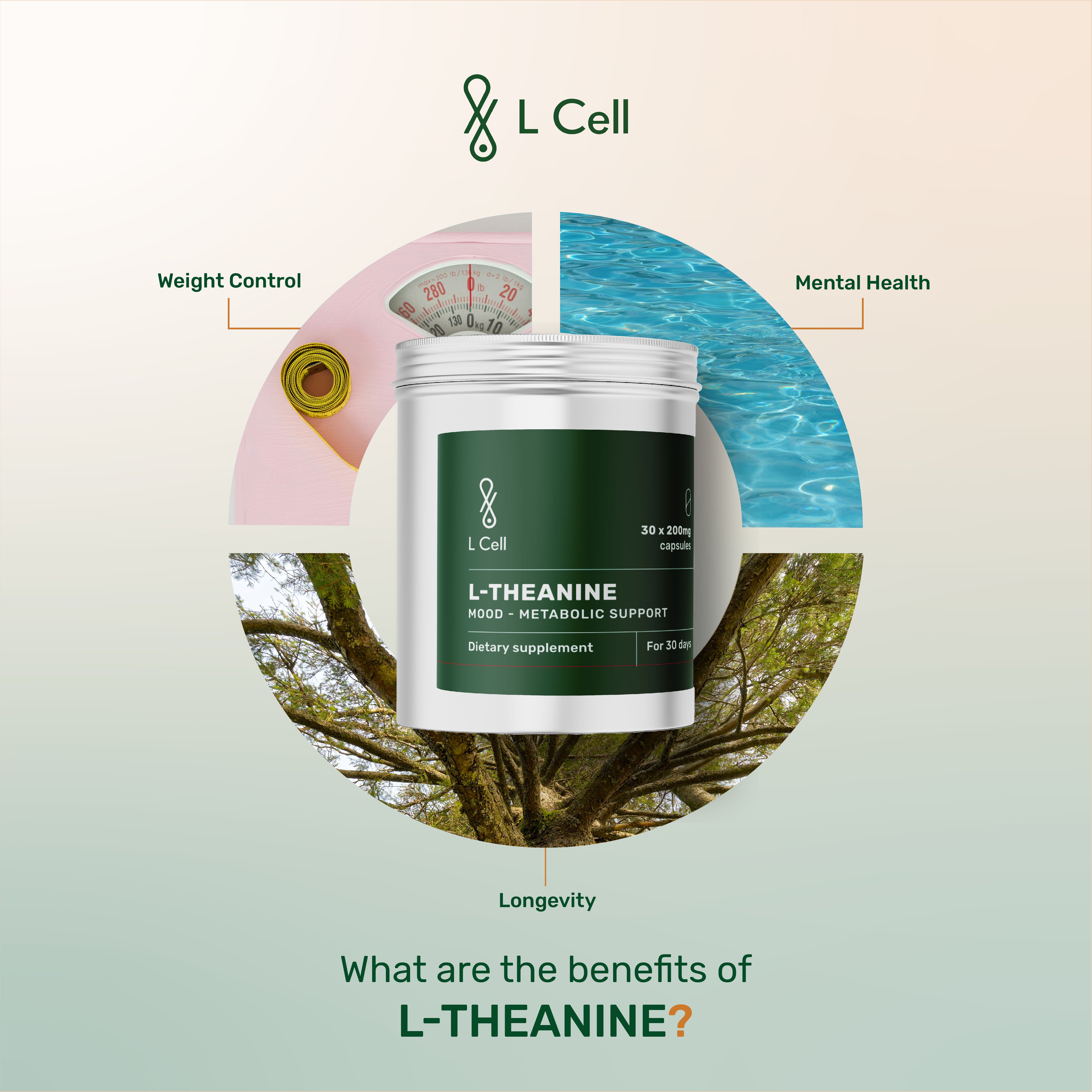 L-Theanine Powder 23g (90 servings, >80% purity)
