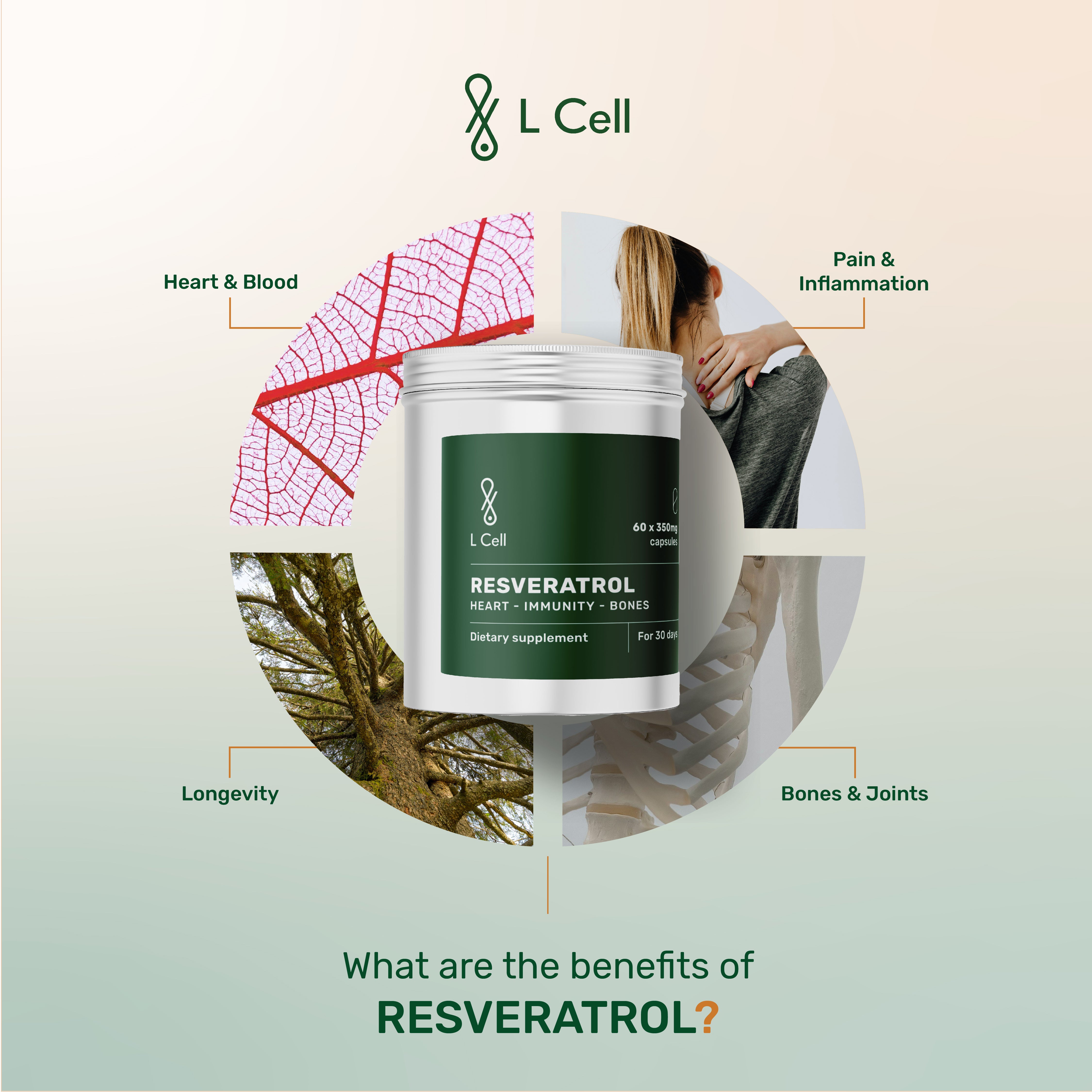 Trans Resveratrol Powder 24g (30 servings, >98% purity)